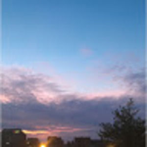 Meet your Posher, Evie